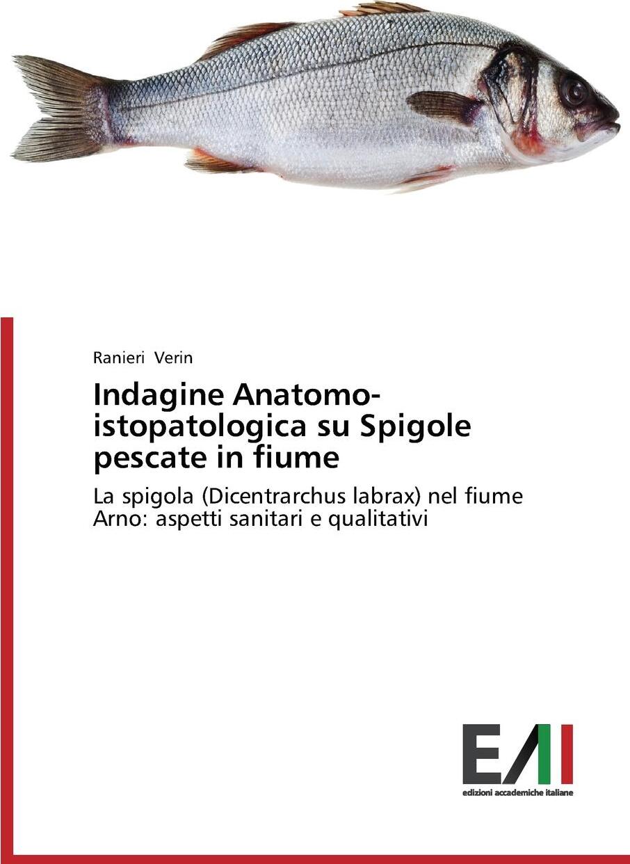 фото Indagine Anatomo-istopatologica su Spigole pescate in fiume