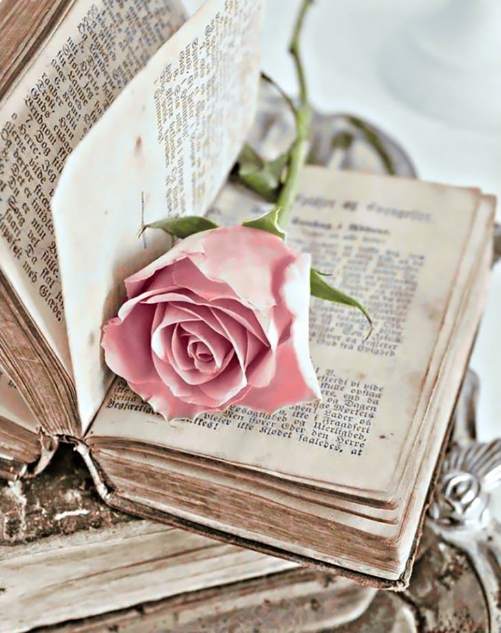 Днем, открытка с днем рождения книга и цветы