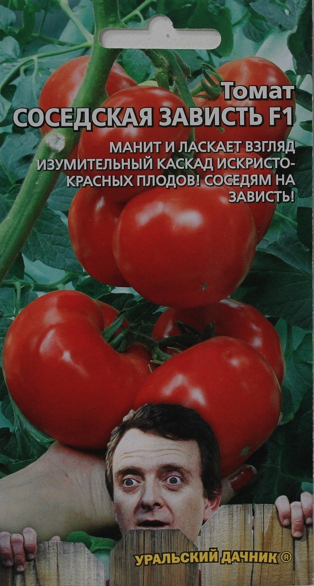 Сорта томатов соседская зависть. Помидоры соседская зависть. Томат зависть. Помидоры всем на зависть. Томат всем на зависть.