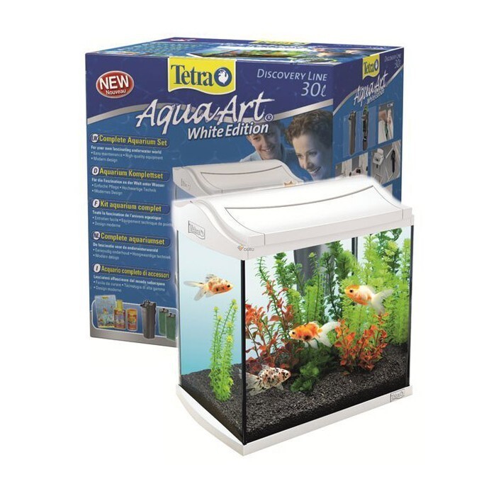 Рыбки тернеция гло. Hyphessobrycon rosaceus. 60 л tetra aquaart led explorer line tropical. Тернеция белая. Тетра (tetra) аквариум aquaart 60л белый.