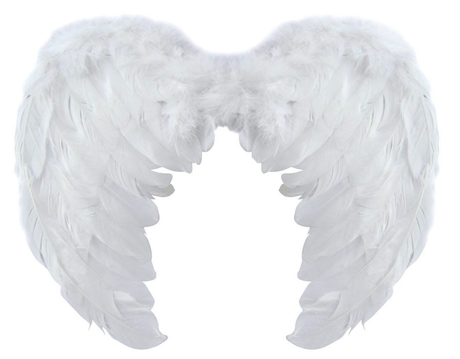 Томас Диш - Перья с крыльев ангела