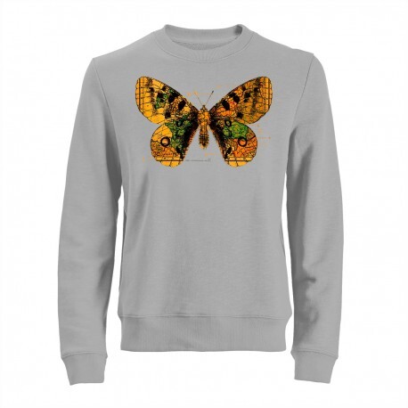 Кофта с бабочкой. Кофта с бабочками. Толстовка с бабочками. Зипка кофта с бабочкой. Худи с бабочками.