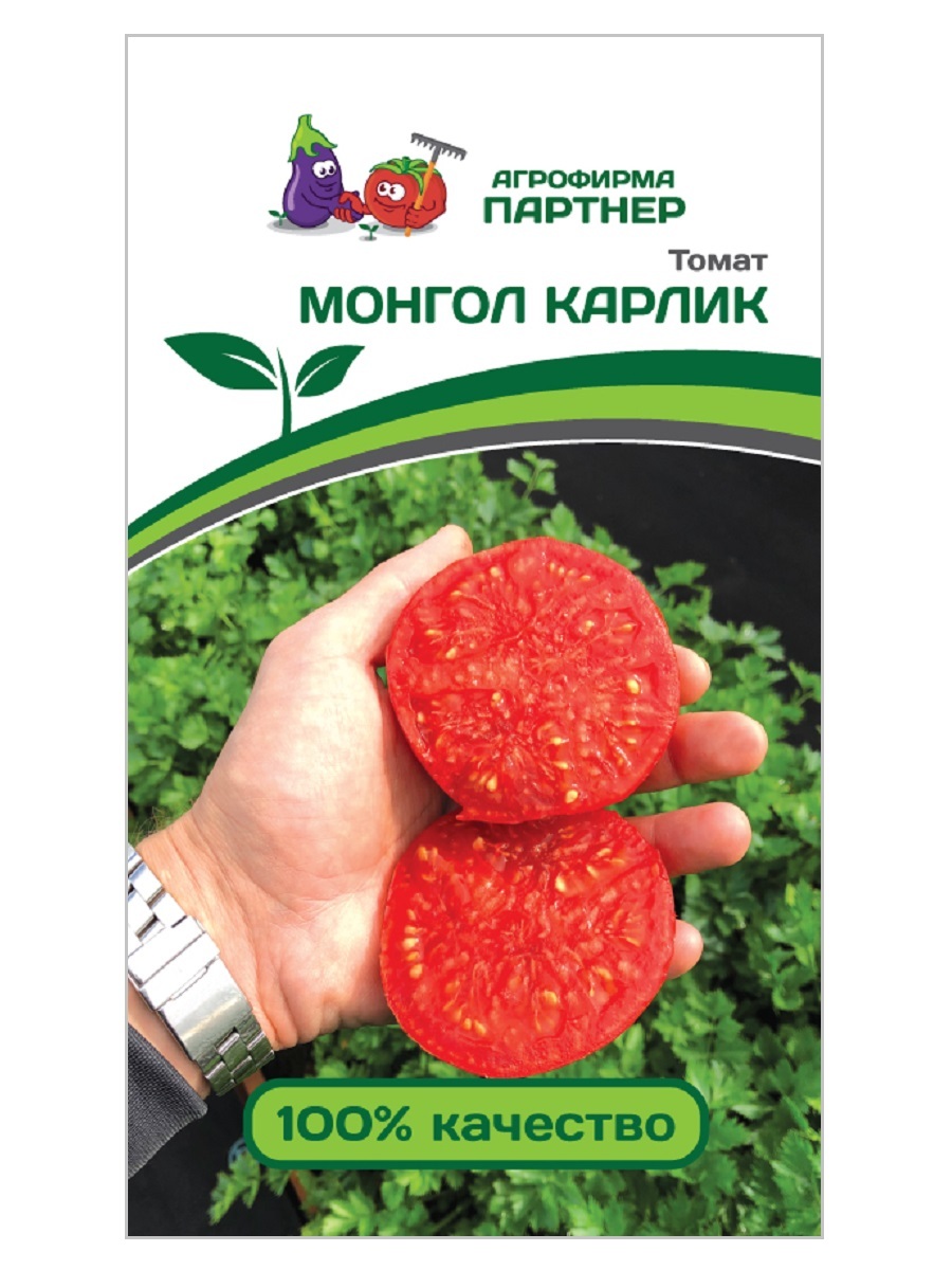 томаты монгольский карлик фото урожайность характеристика