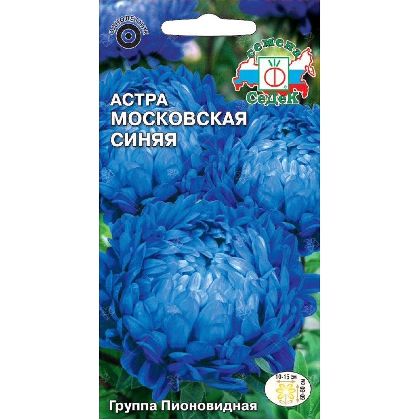 Московская голубая