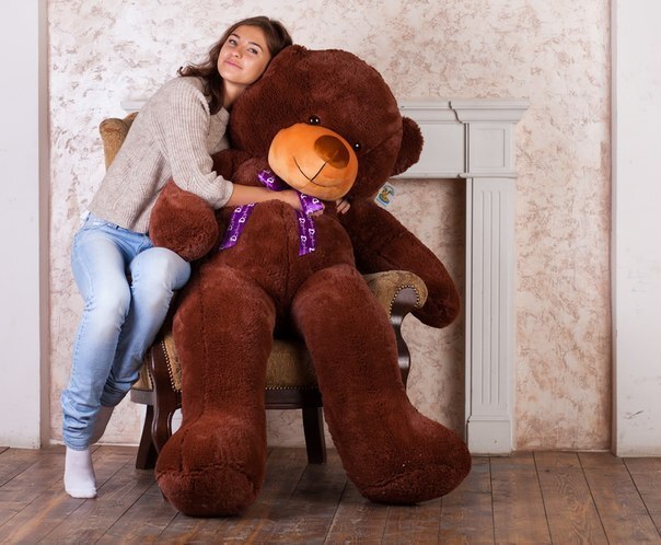 Bolshoj Plyushevyj Medved Nestor 2 Sm Burogo Cveta Kupit V Internet Magazine Ozon S Bystroj Dostavkoj