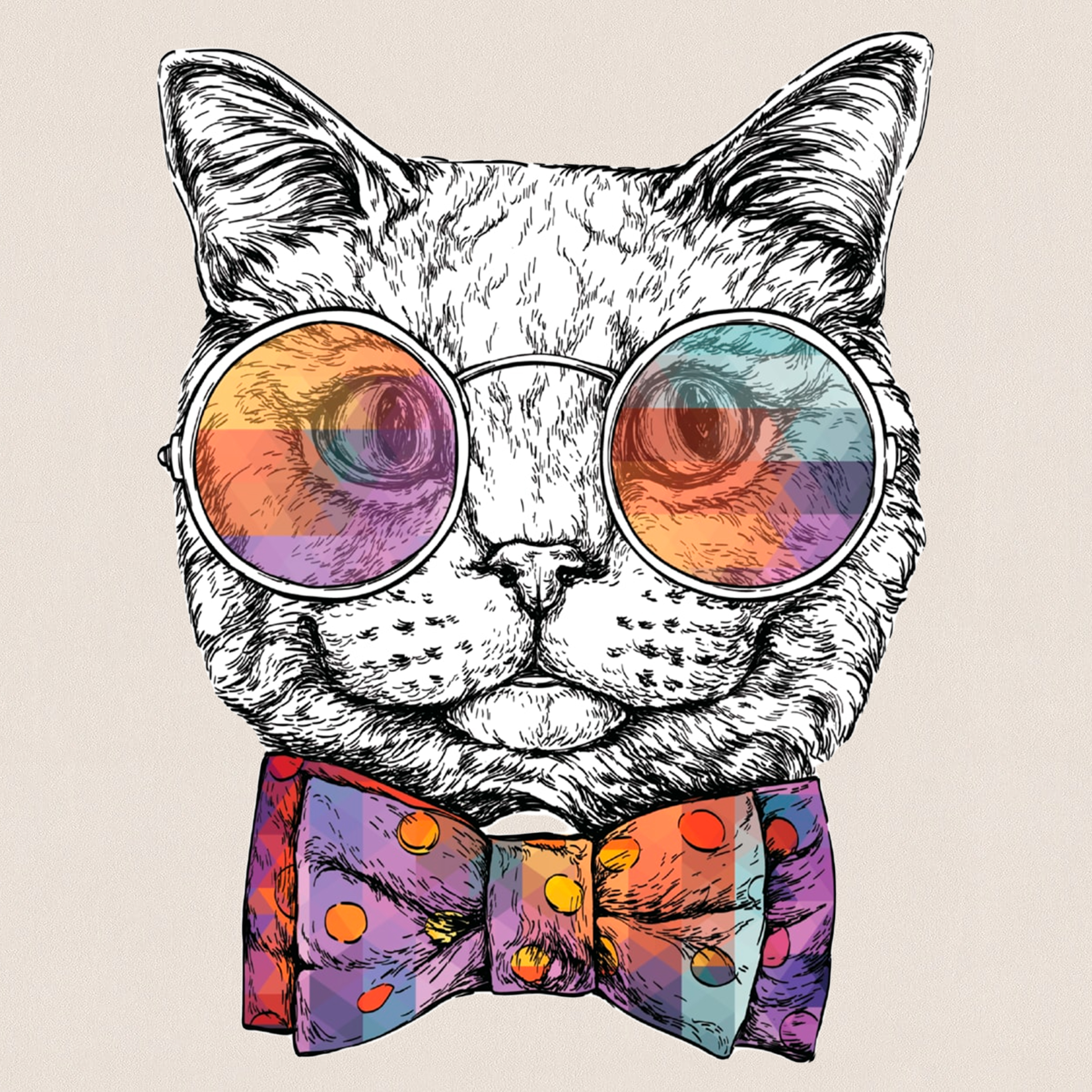 Стильный кот в очках