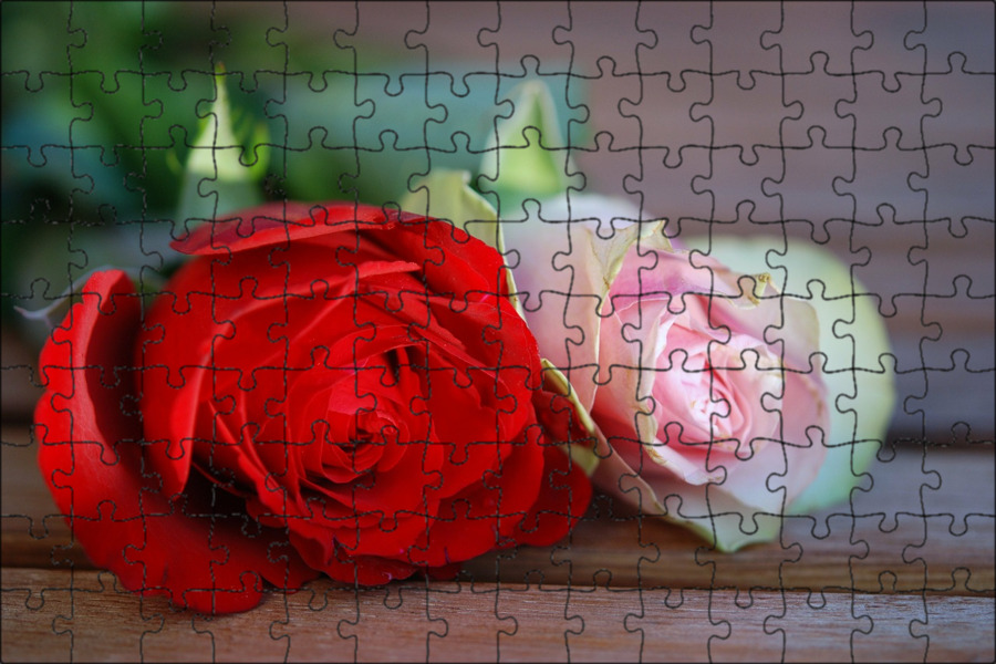 There are some things in this world that just make go... wow! Beautiful flowers,