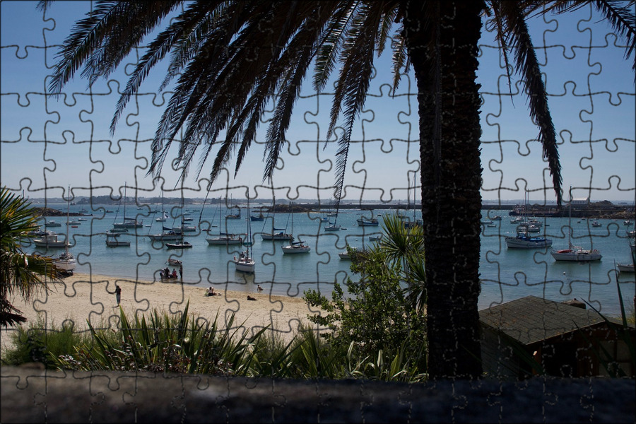 Palm lagoon. Пальмы в Приморье. Palm Seaside. Palma Laguna Батуми.