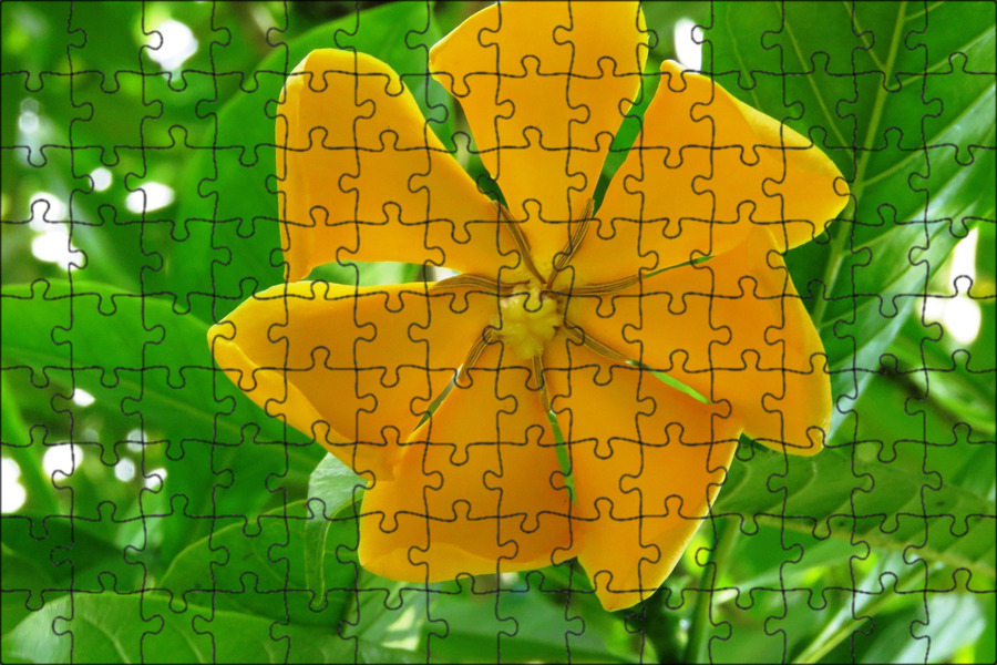 Flowered up