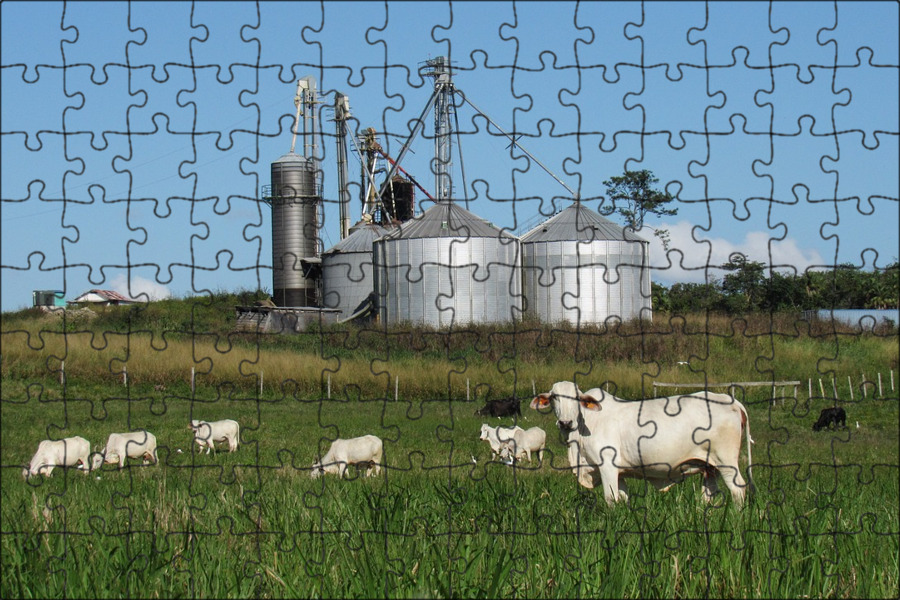 Ферма в промышленности. Карта сельского хозяйства нижегородской области. Сельское хозяйство нижегородской области. Сельское хозяйство и животноводство нижегородской области. Хозяйство нижегородской области карта.