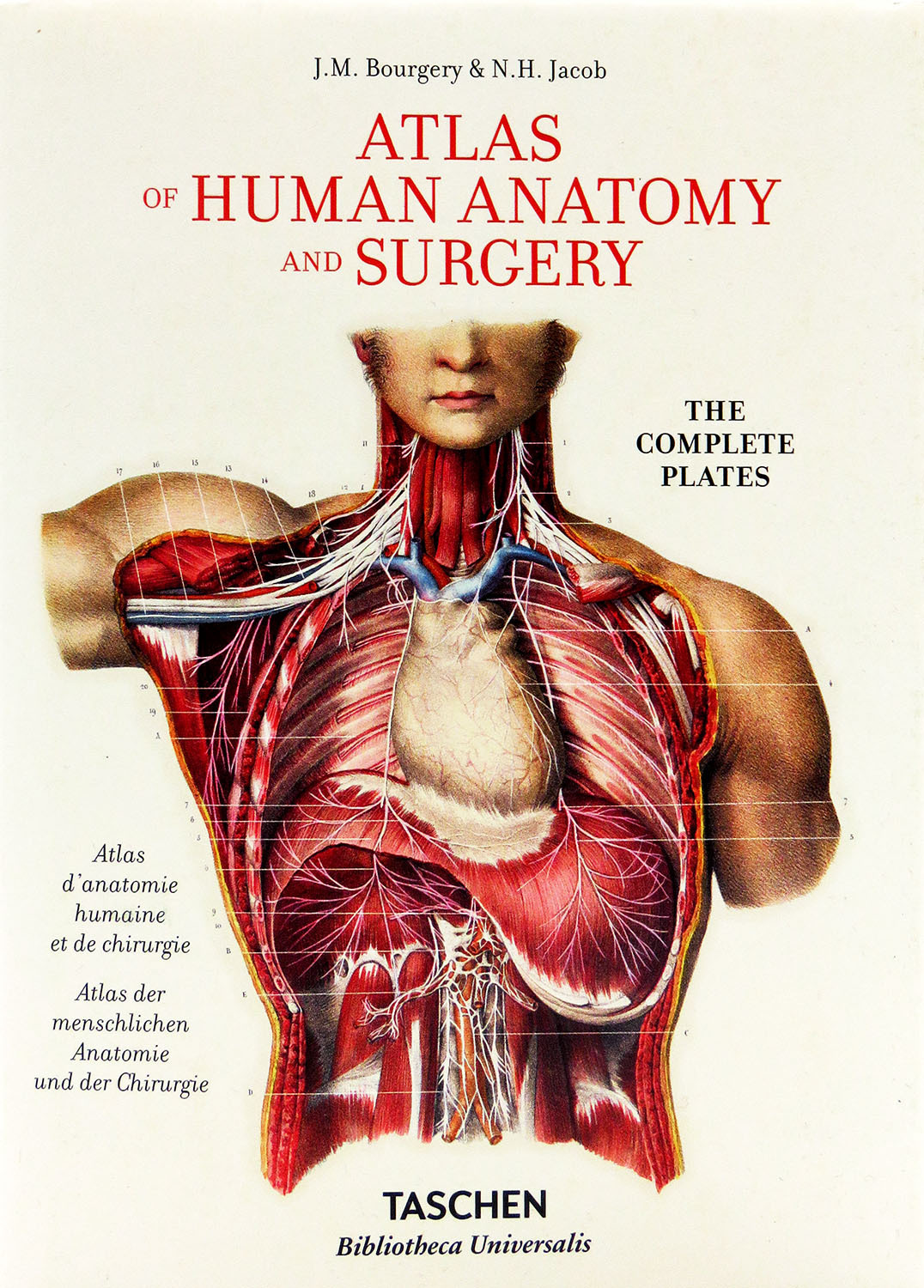 Книга: atlas of anatomy