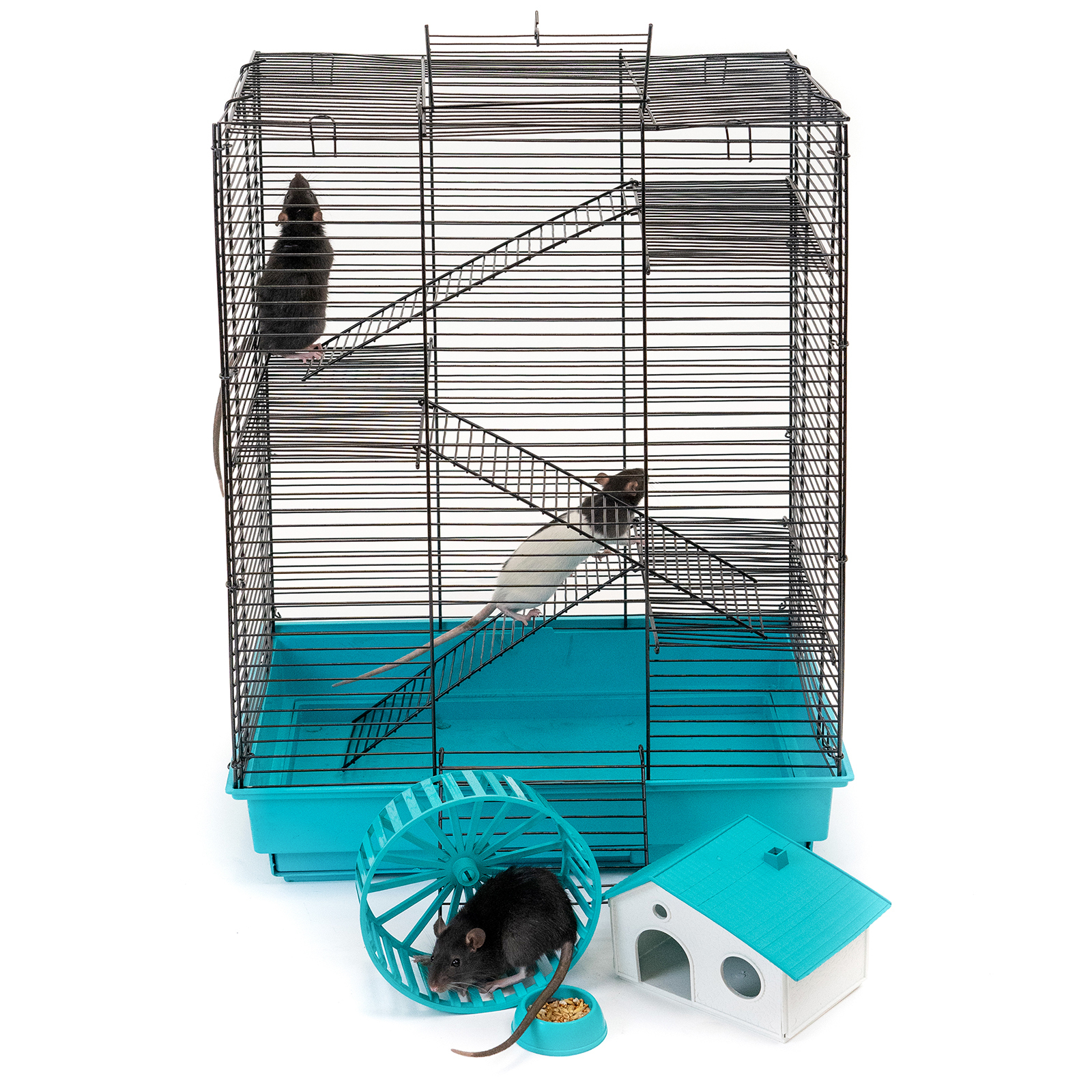 Клетка для грызунов pettails. Клетка для грызунов саша мини 2 этажа 41 30 37см комплект дарэлл 172316. Сколько стоит хомяк. ,3эт, шаг. Клетка для крыс 60х40х60.