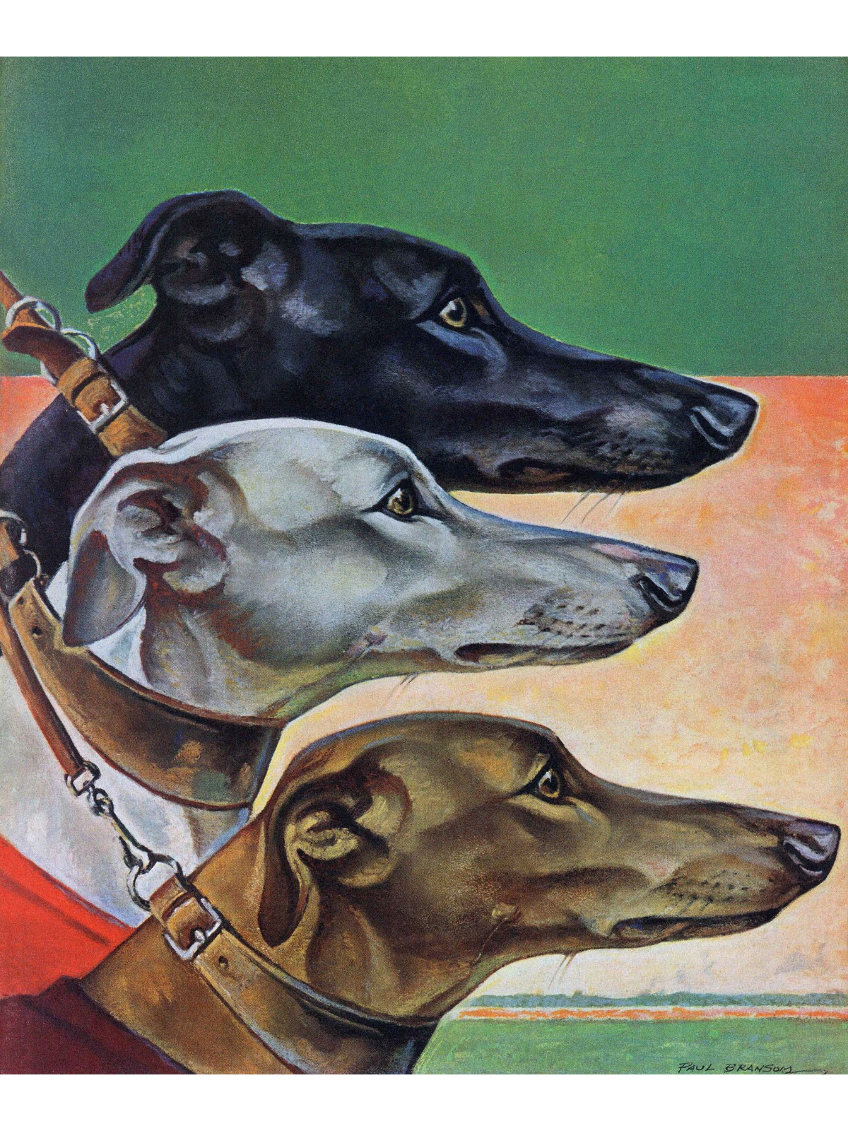 Постер собаки