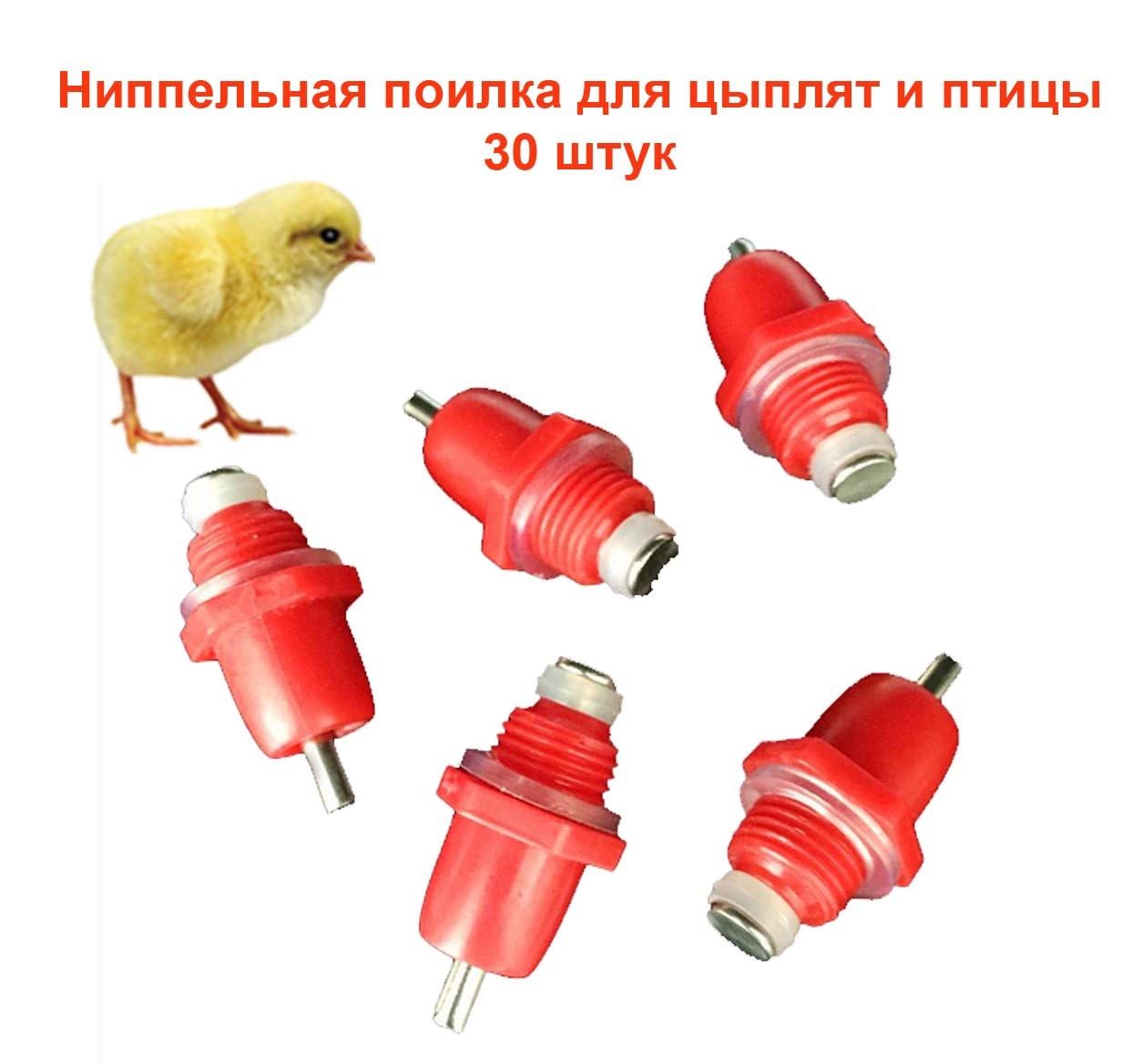 Ниппельная поилка для птиц схема