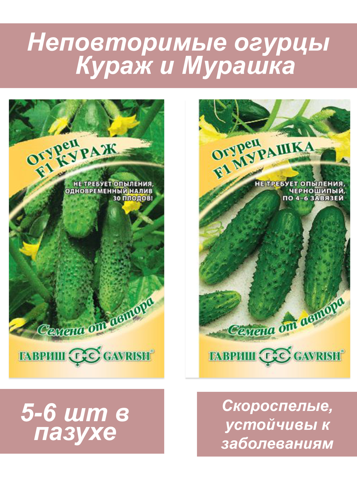 Кураж Огурцы Купить Семена