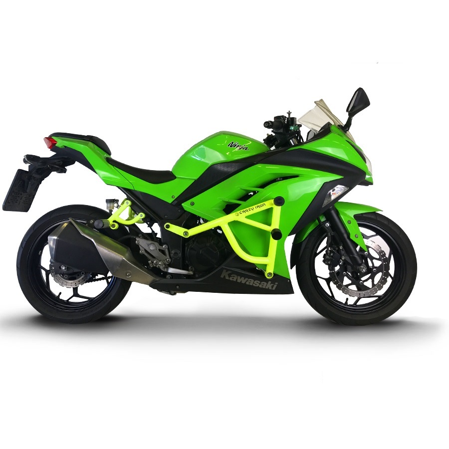 Kawasaki Ninja 300 Stunt