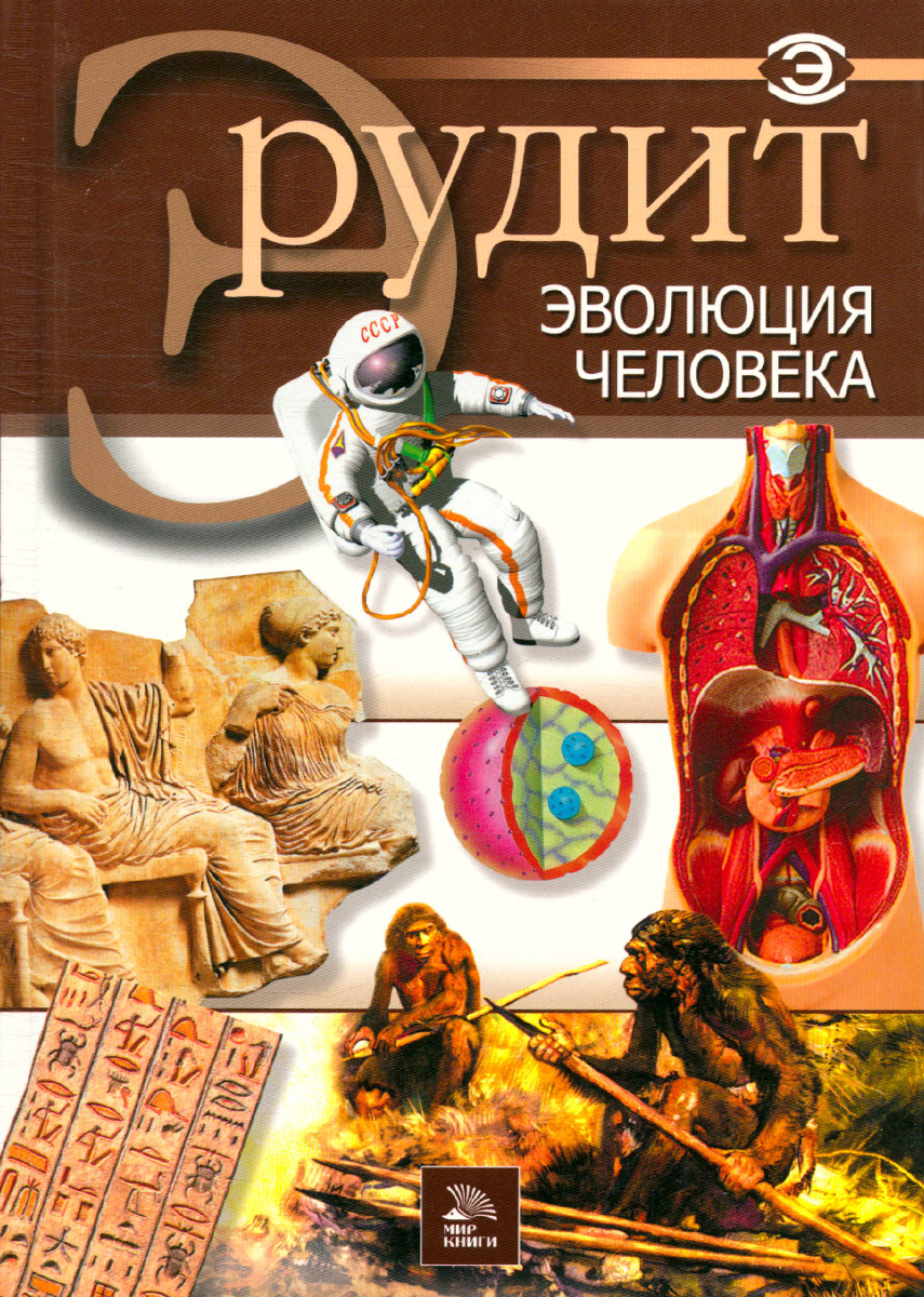 Эрудит. Эволюция человека - купить с доставкой по выгодным ценам в  интернет-магазине OZON (495796190)