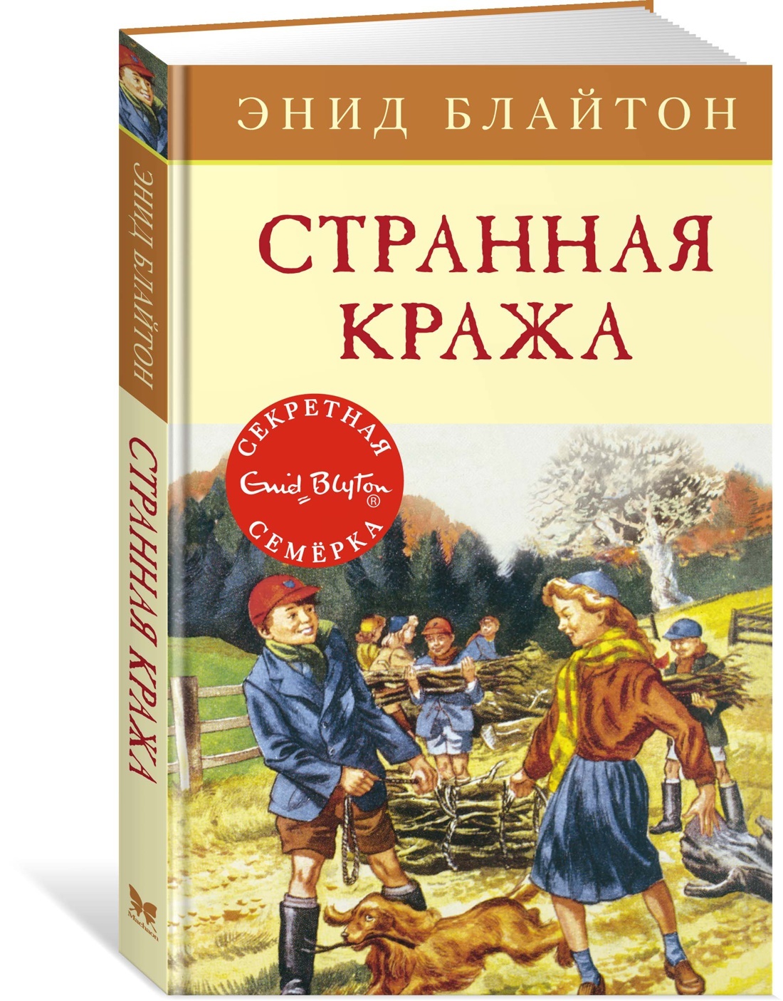 Странная кража | Блайтон Энид - купить с доставкой по выгодным ценам в  интернет-магазине OZON (148771815)