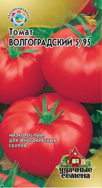 Сорт томата волгоградский фото и описание
