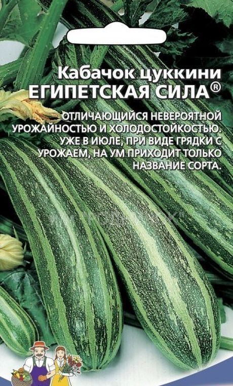 Семена Кабачков Купить На Озон