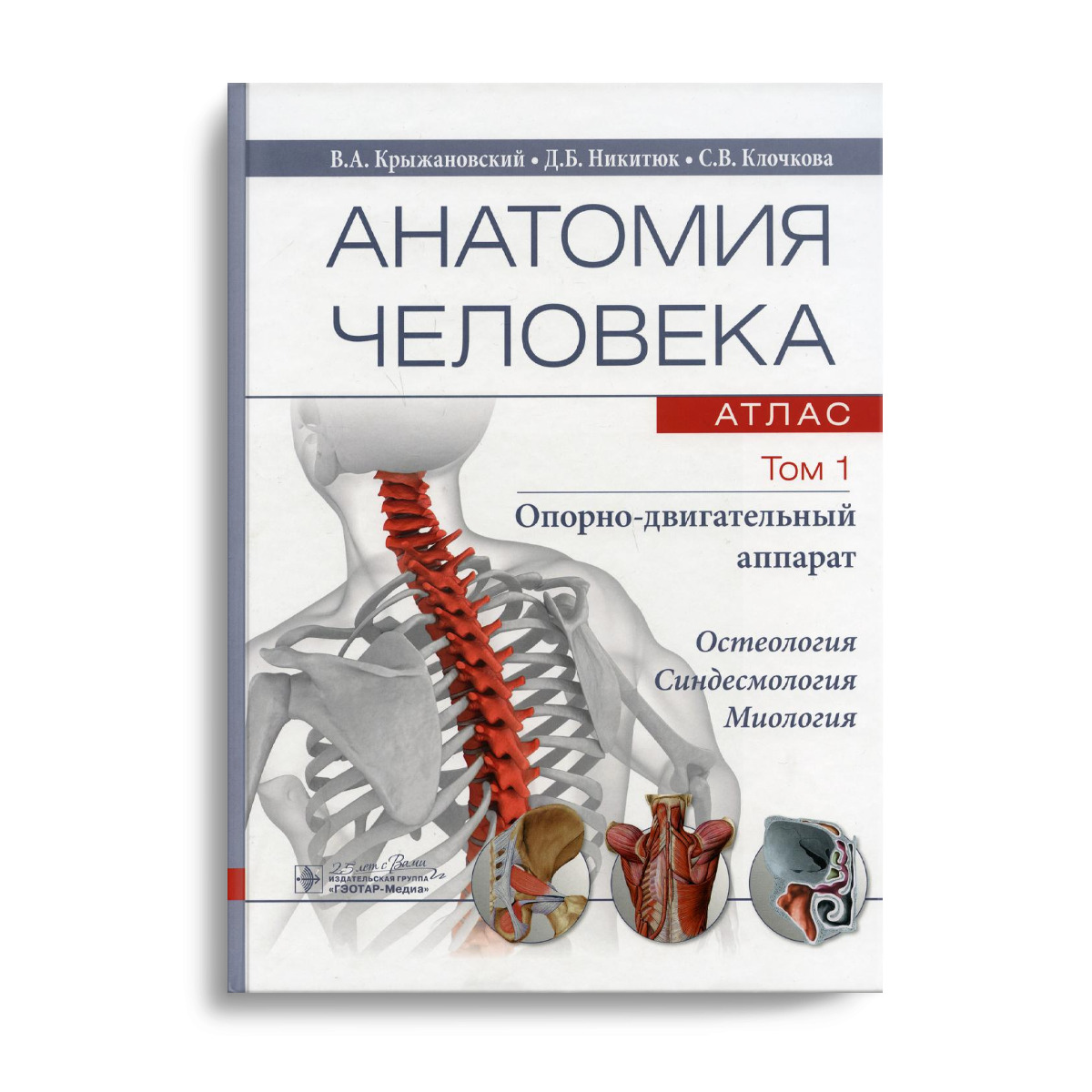 Анатомия Человека Книга Купить