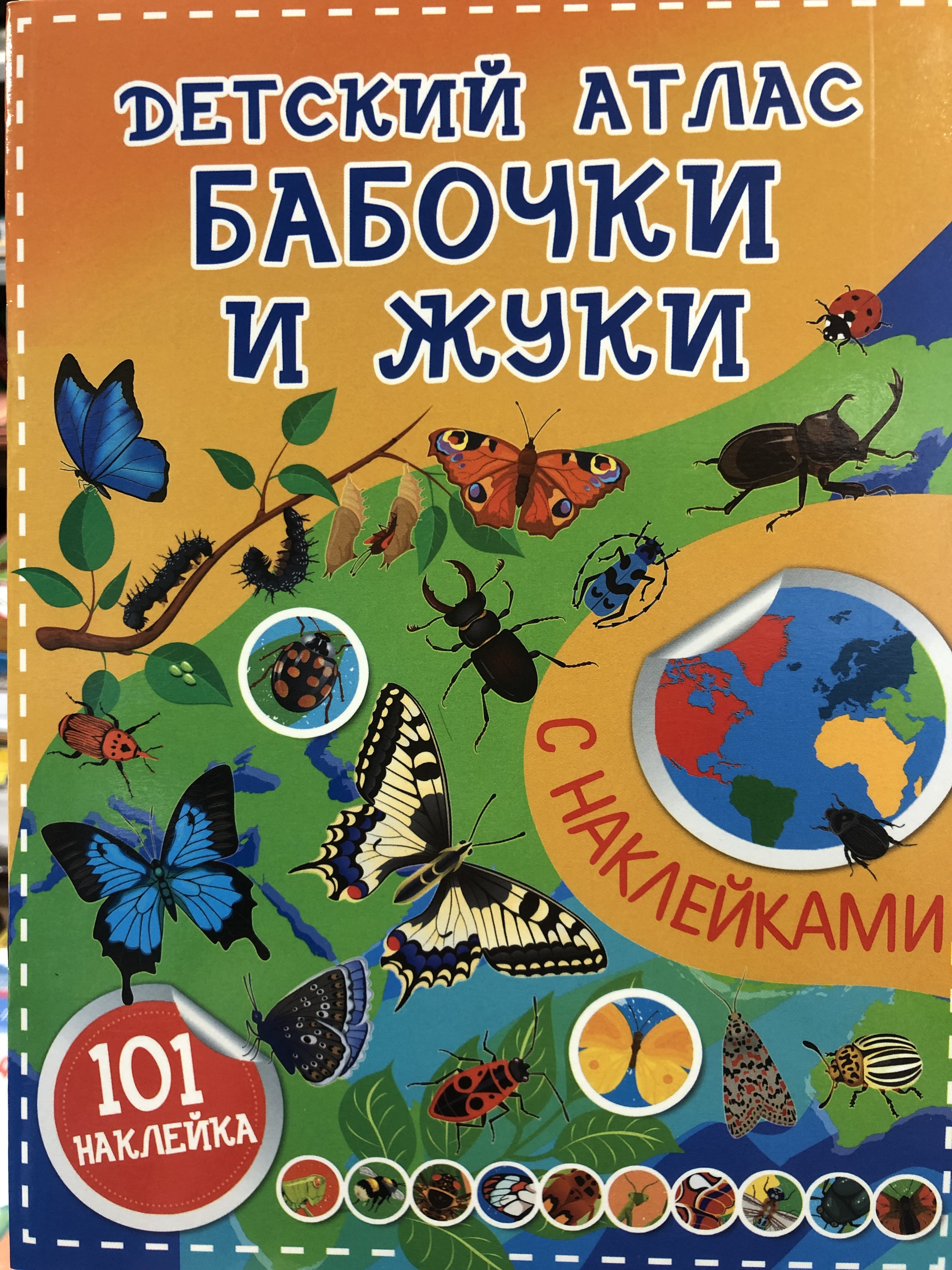 Атлас бабочка
