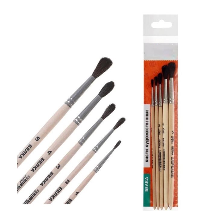 Кисти белка 2 3 4. Круглая кисть белка для рисования. Кисти белка 2 3 4. Basir кисти белка. Кисть белка круглая 4.
