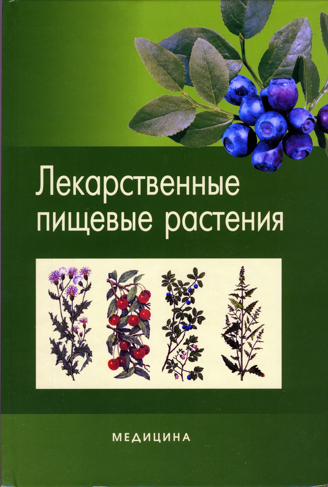 Питательные растения. Пищевые лекарственные растения. Книга пищевые и лекарственные растения. Книга - лекарственные растения в науч. Пищевые и лекарственные растения Наумкин.