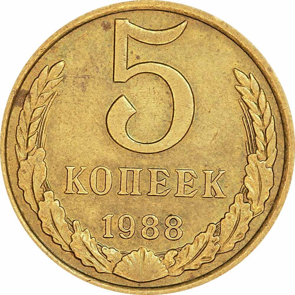 Монета ссср 1988. 5 Копеек 1987. 5 Копеек 1991. 5 Копеек 1991 года м. Монета 5 копеек.