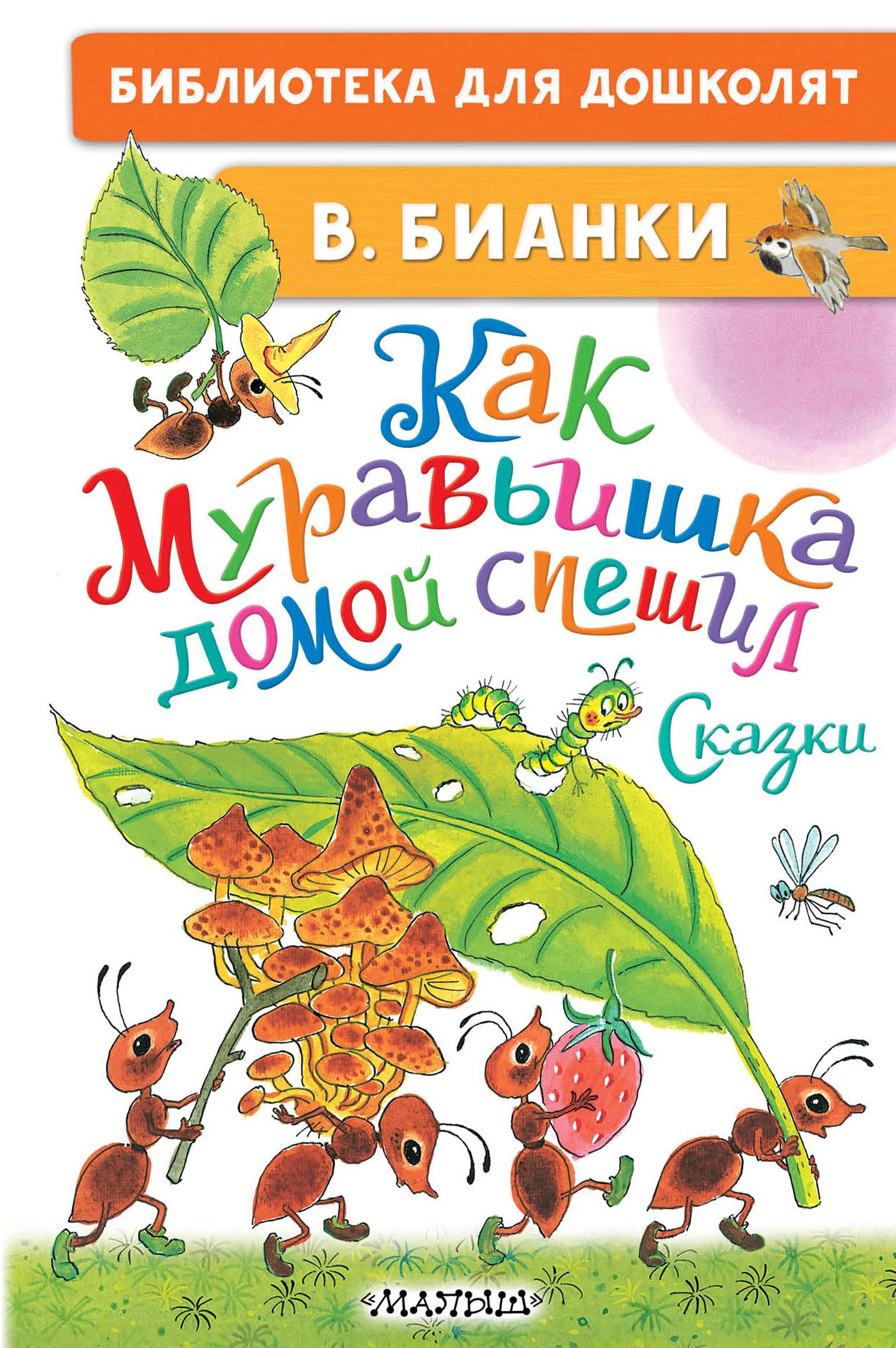 Как Муравьишка домой спешил. Сказки | Бианки Виталий Валентинович