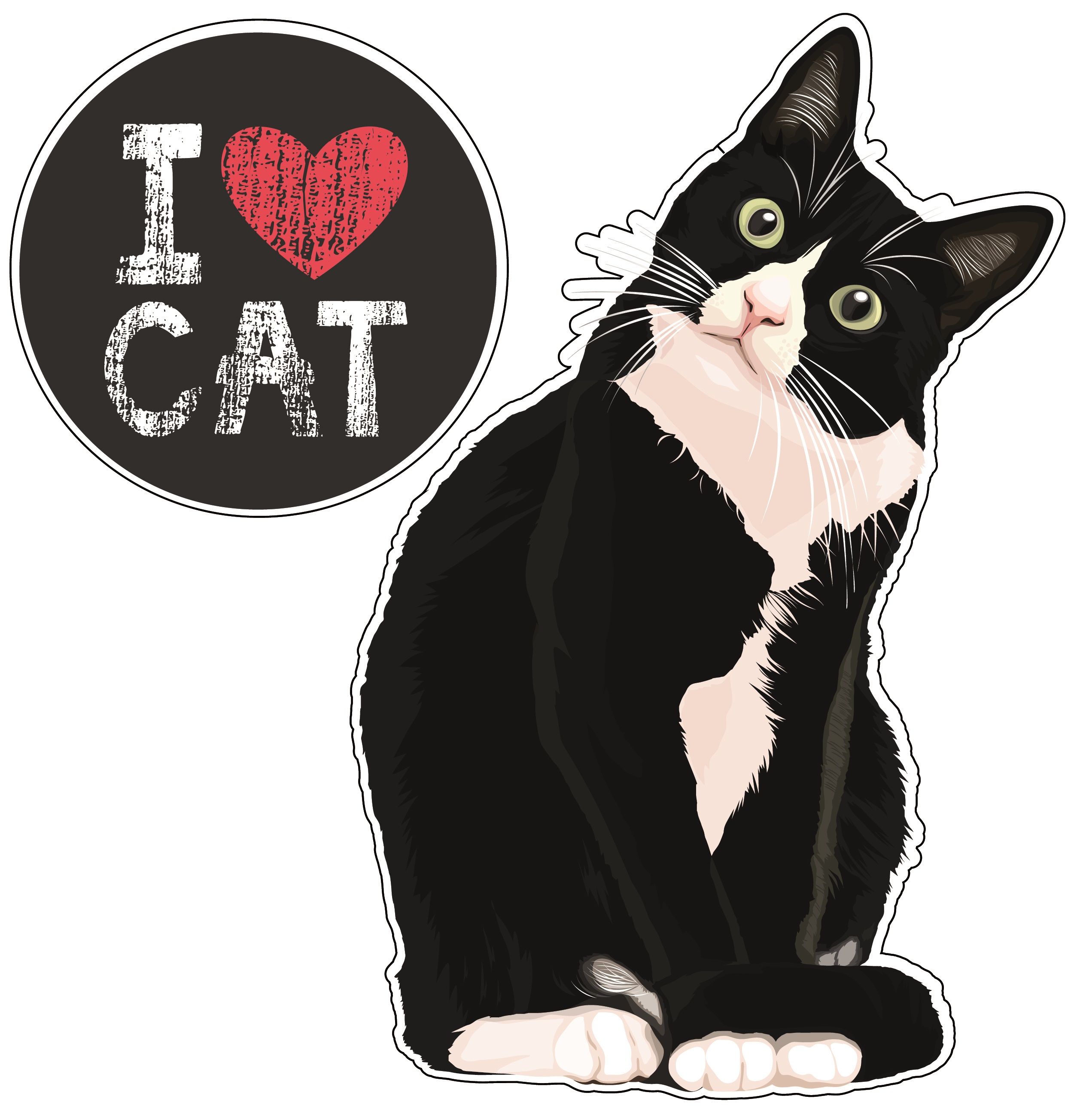 Да я люблю кошек. Люблю тебя котенок. Кружка любимая кошка. Кошки с надписями. Люблю тебя котик.