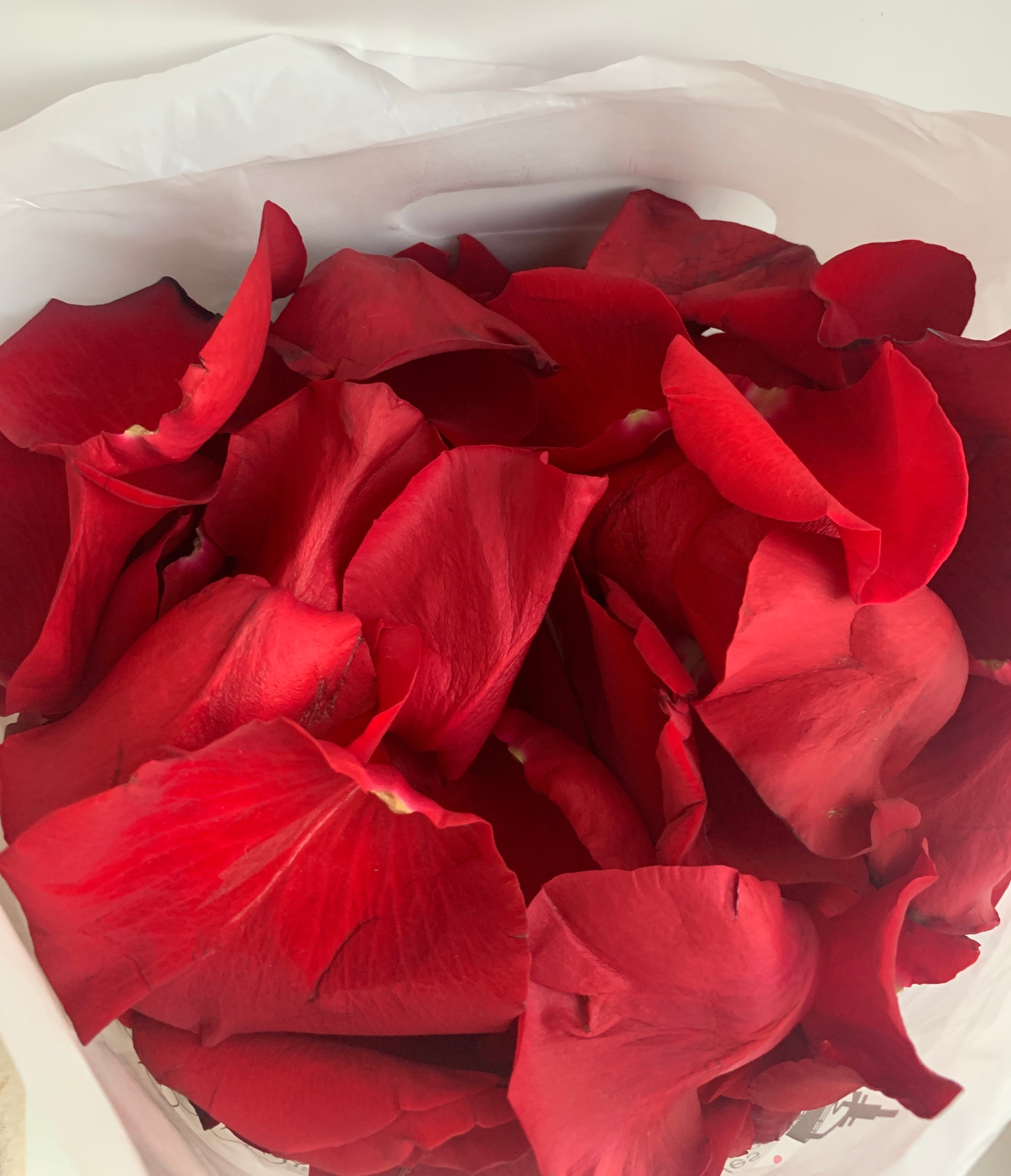 Заказать Лепестки Роз Спб Дешево Проспект Просвещения