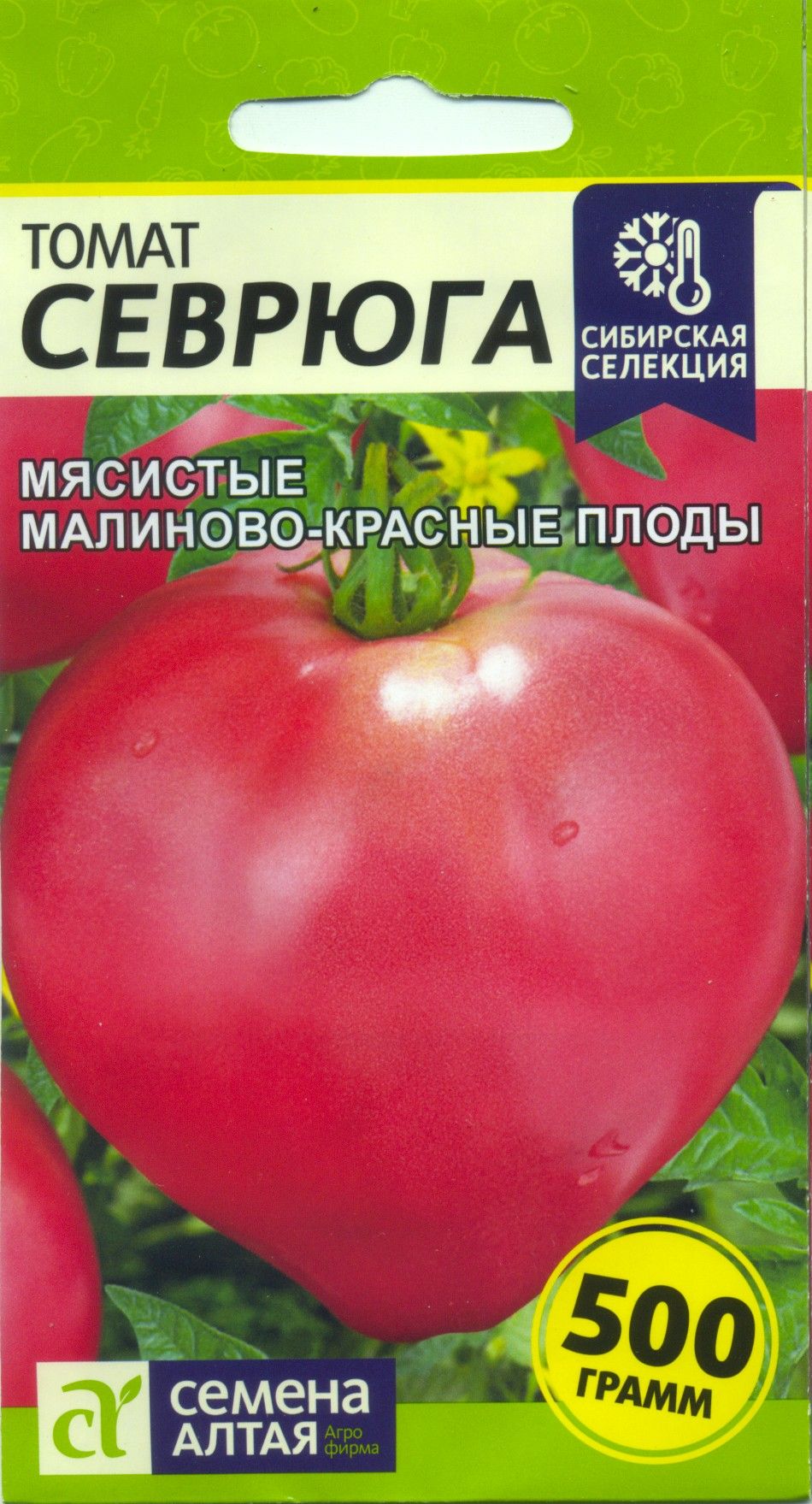 Семена алтая томаты. Семена томат севрюга. Томат севрюга Сибирский сад. Томат севрюга семена Алтая. Семена помидор севрюга.