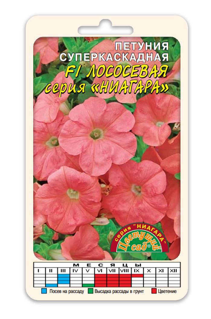 Петуния Яблоневый Цвет Купить