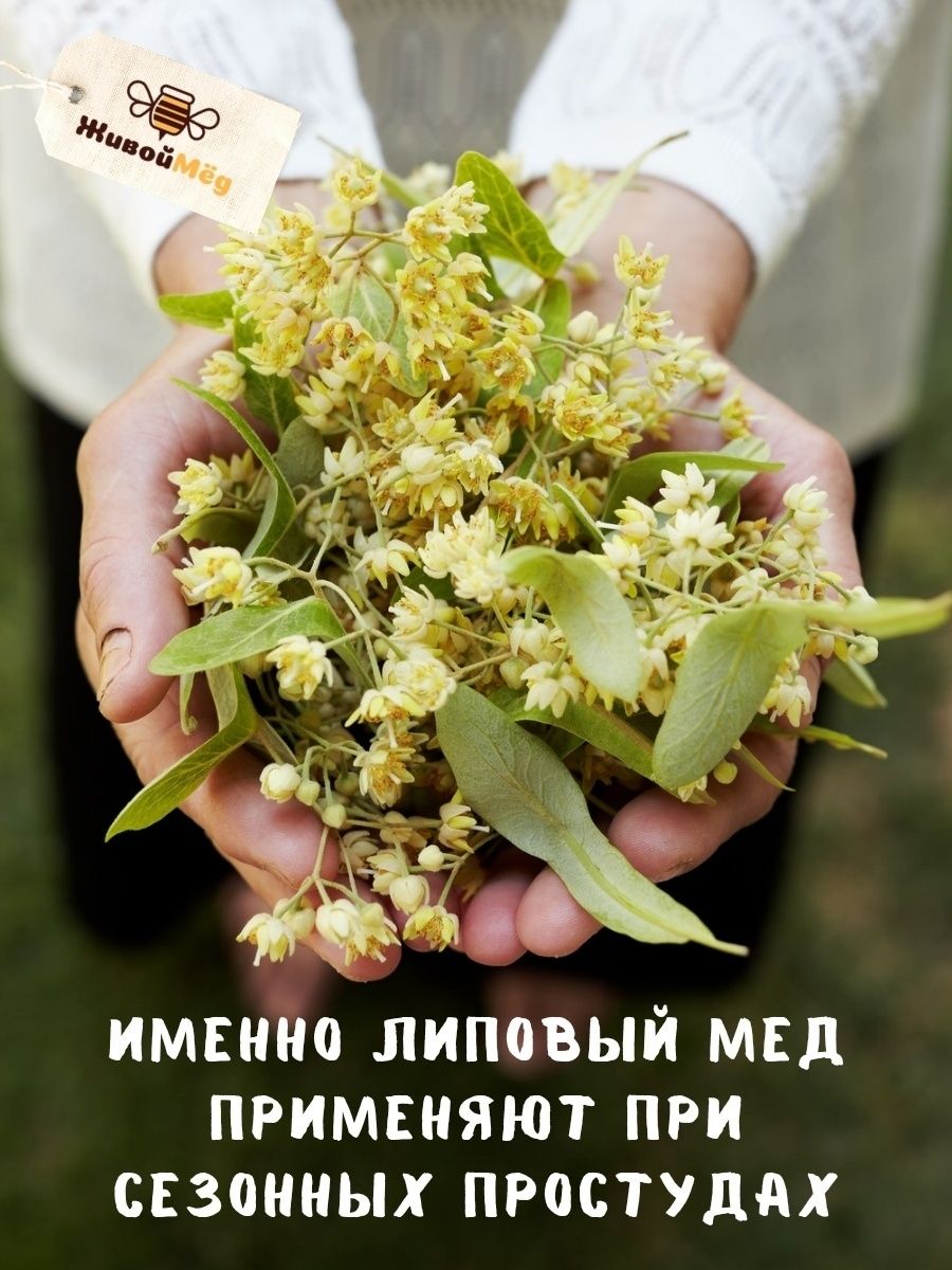Мёд сырой липовый «Тёмный», 1344 г, 4 сезона
