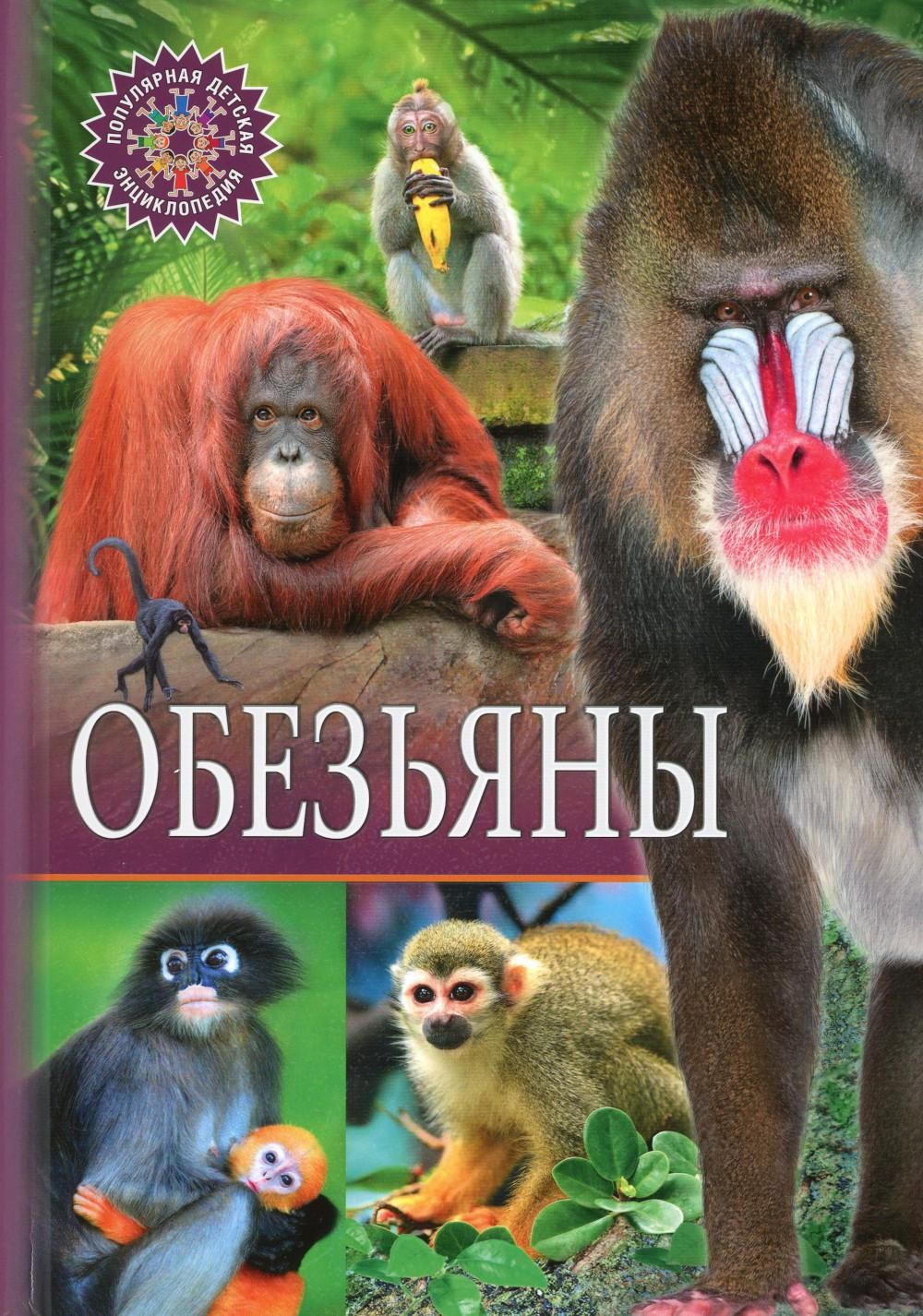Энциклопедия про обезьян для детей. Детская энциклопедия обезьяны. Энциклопедия. Энциклопедия про обезьян. Энциклопедия.