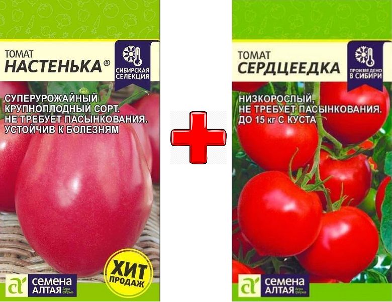 Сорт помидоров настенька отзывы садоводов. Помидоры Настенька семена Алтая. Томат Настенька семена Алтая характеристика и описание. Томат Настенька куст. Томат цыпочка от семена Алтая.