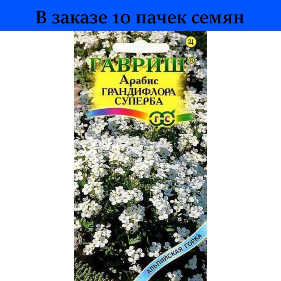 Арабис многолетний фото и описание. Арабис семена купить. Арабис грандифлора Суперба белый магические свойства. Арабис многолетний купить семена.