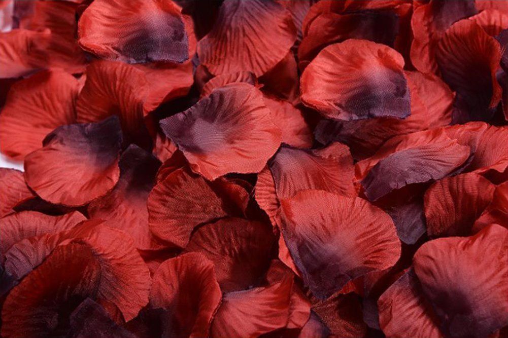 Заказать Лепестки Роз Спб Дешево Проспект Просвещения