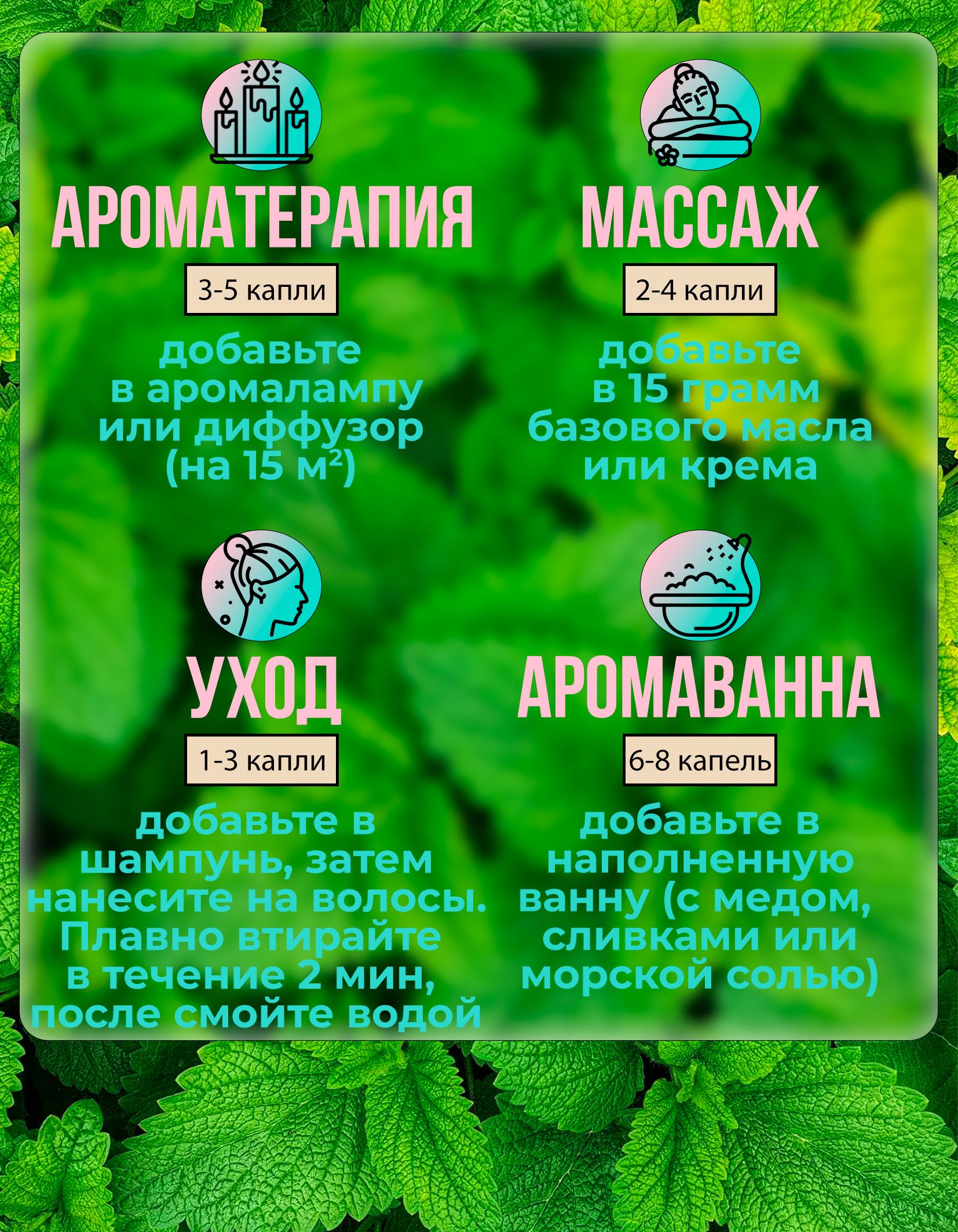 Где Можно Купить Перечную Мяту Масло