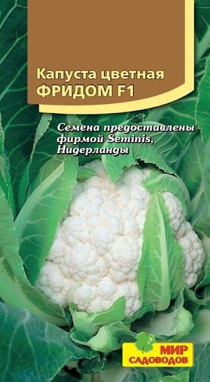 Цветная капуста сорт фридом. Капуста цветная сорт Фридом f1. Капуста цветная Фридом описание. Капуста Фридом фото. Фото капуста цветная Фридом.