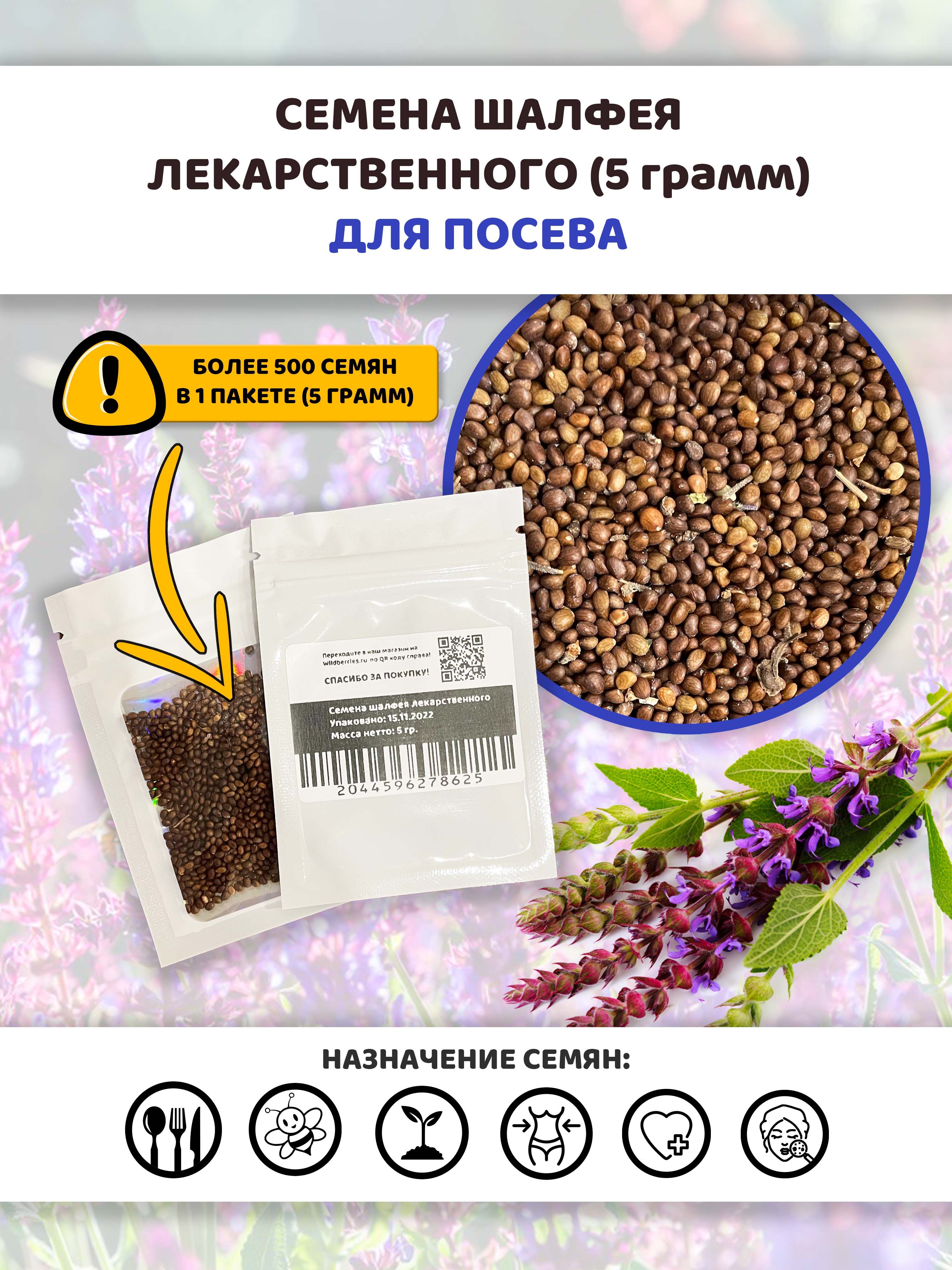 Шалфей Семенами Цена