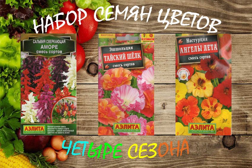 Купить Семена Низкорослых Цветов