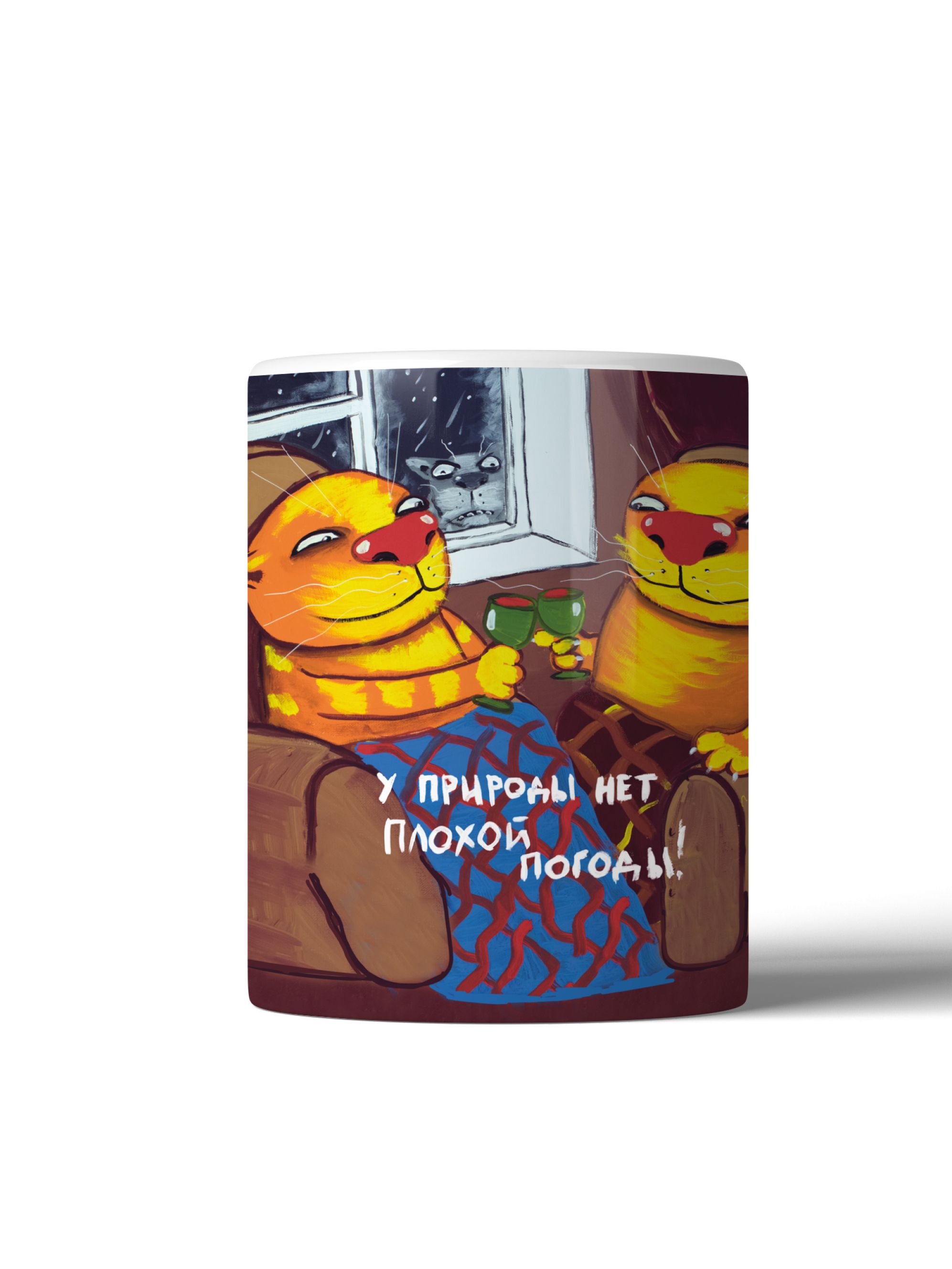 У природы нет плохой погоды мем