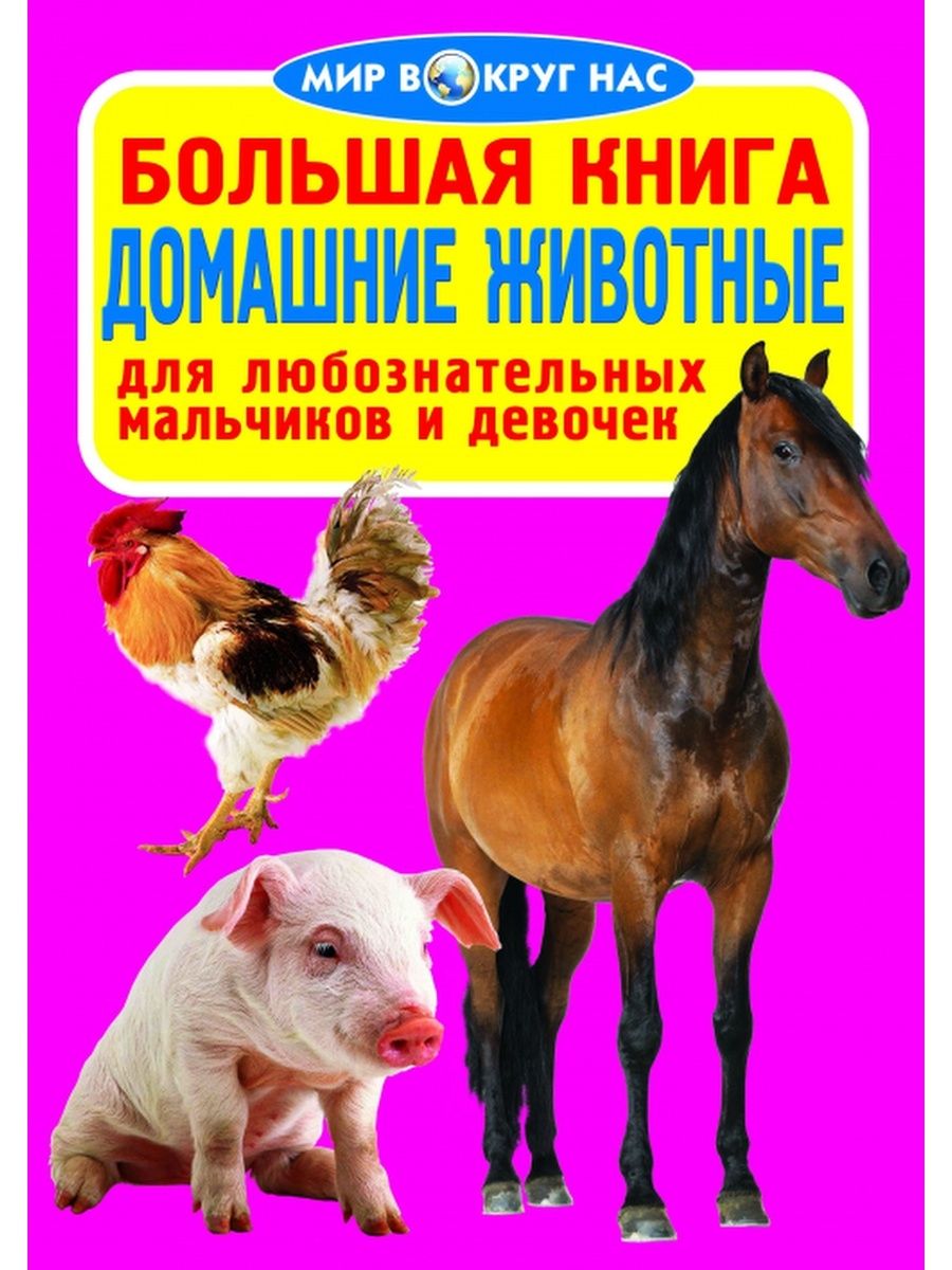 Книги о дом животных. Книги о домашних животных. Домашние животные обложка для книжки. Книги о домашних животных. Книги о дом животных.