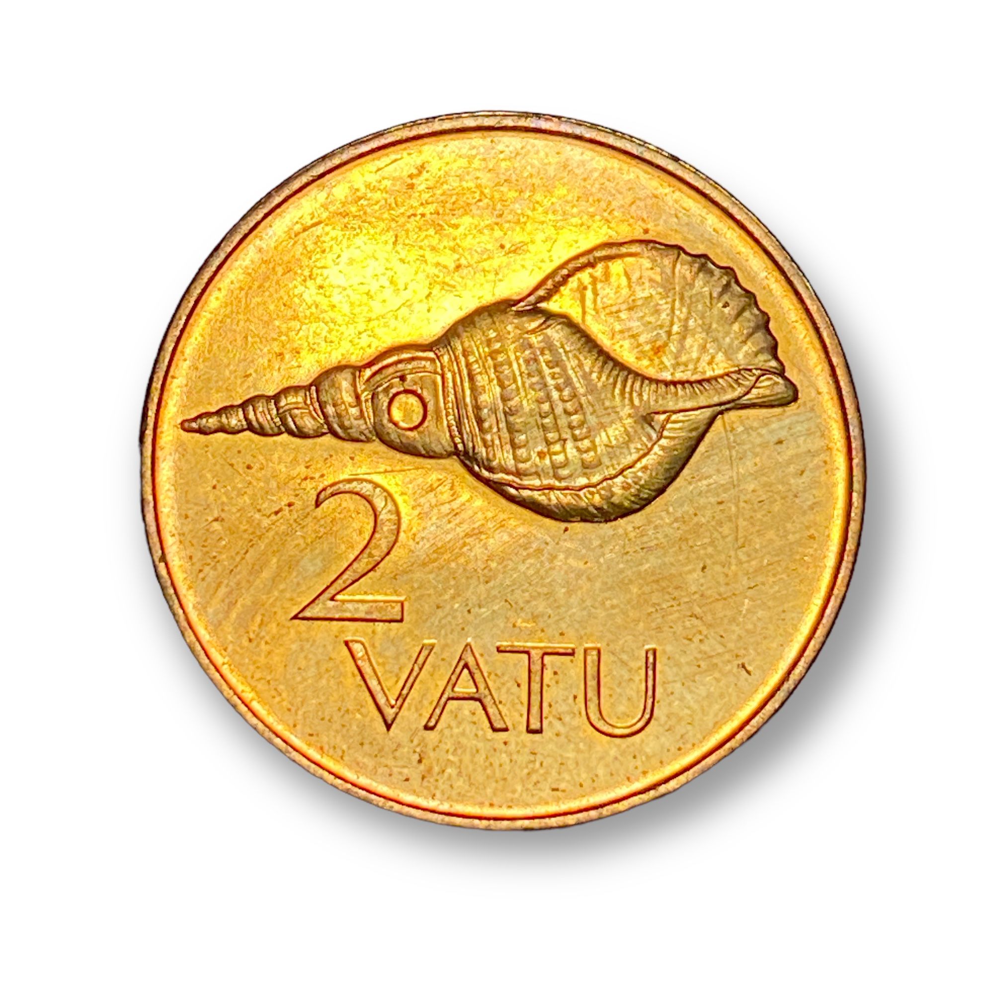 Купить Вату 2.5 Кг