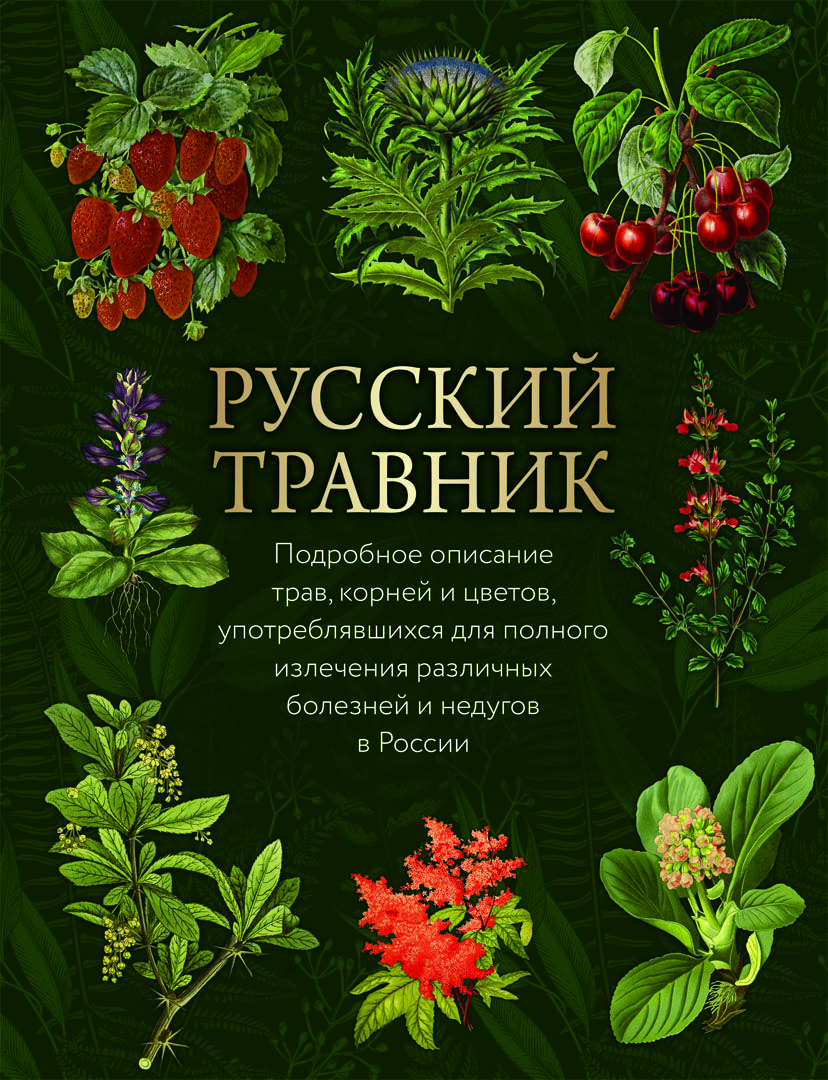 Русский травник - купить с доставкой по выгодным ценам в интернет-магазине  OZON (881986234)