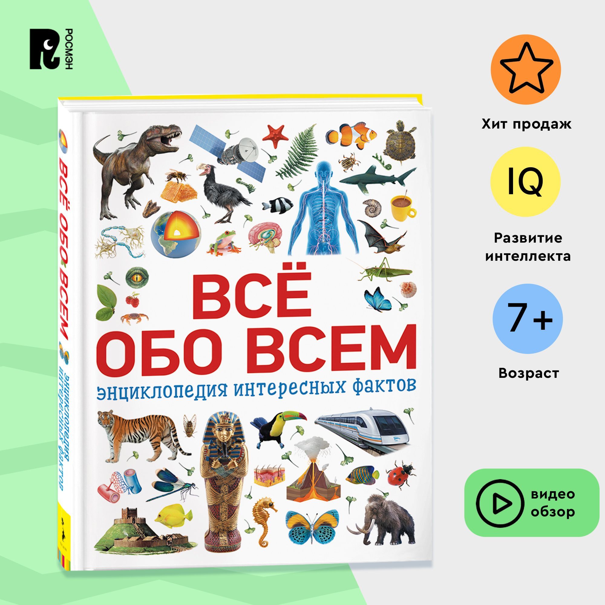 Всё обо всем. Энциклопедия интересных фактов для детей 7 лет | Котятова  Наталья Игоревна - купить с доставкой по выгодным ценам в интернет-магазине  OZON (149639506)