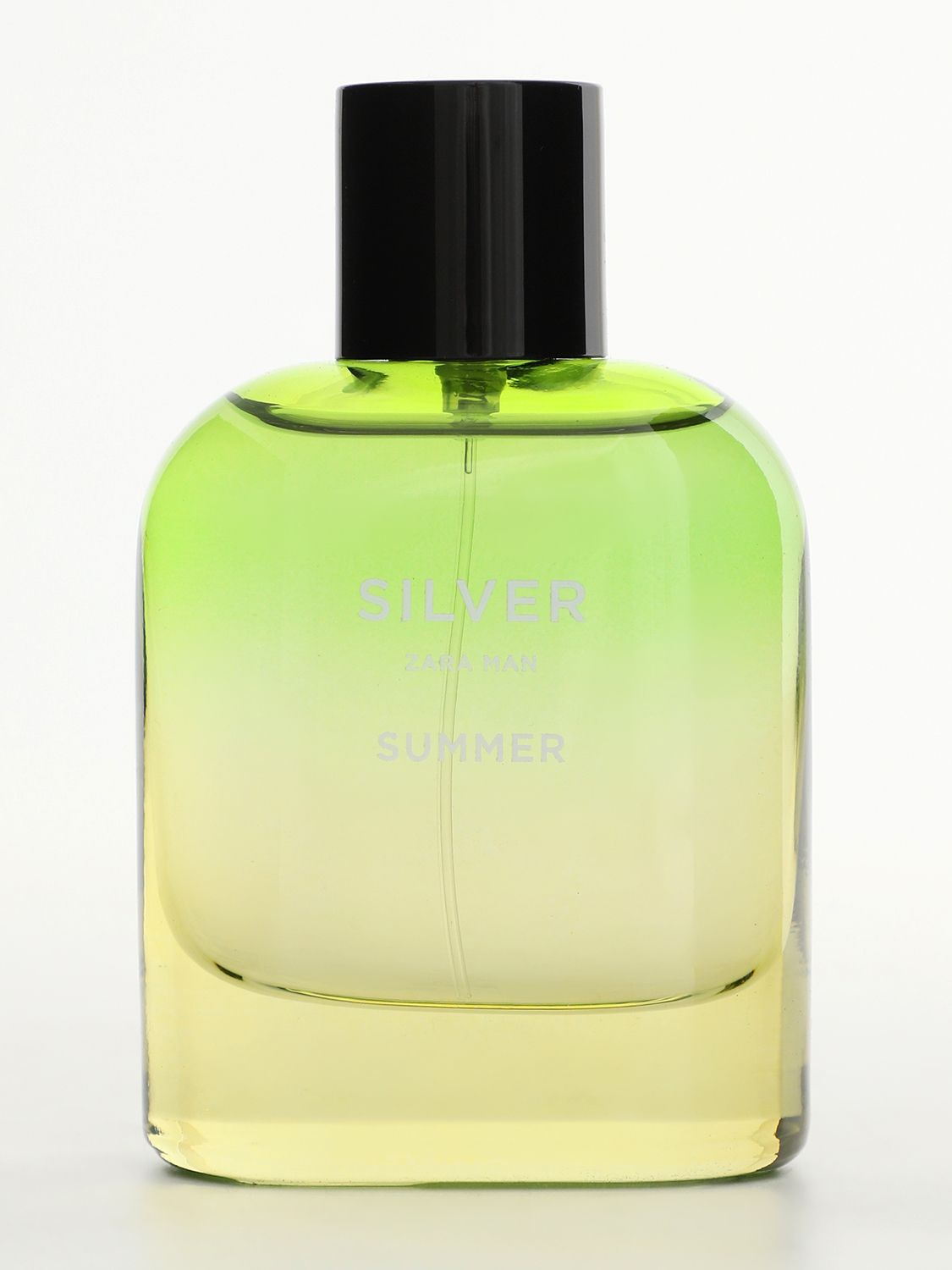 silver zara man