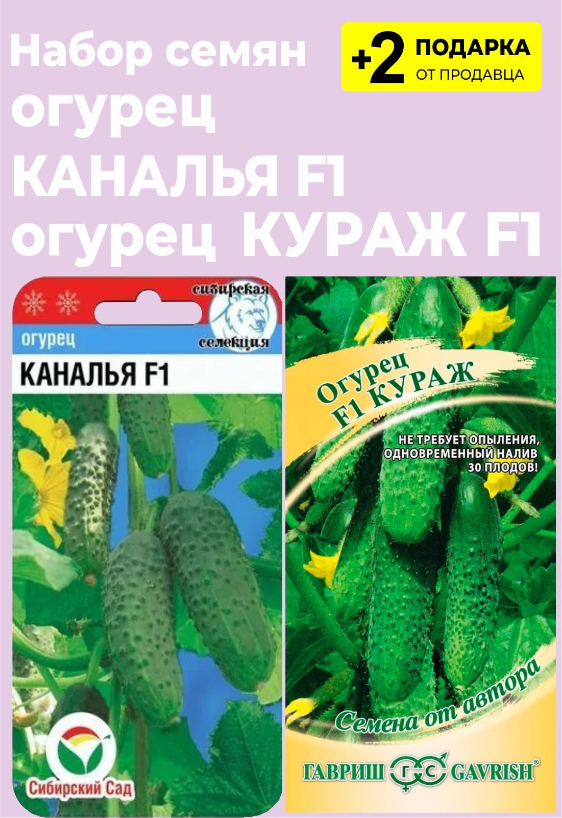 Кураж Огурцы Купить Семена